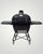 Primo Grills XL 400 All-in-One